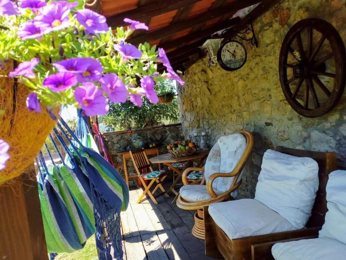 Sardoal Casa Do Trapo酒店 外观 照片